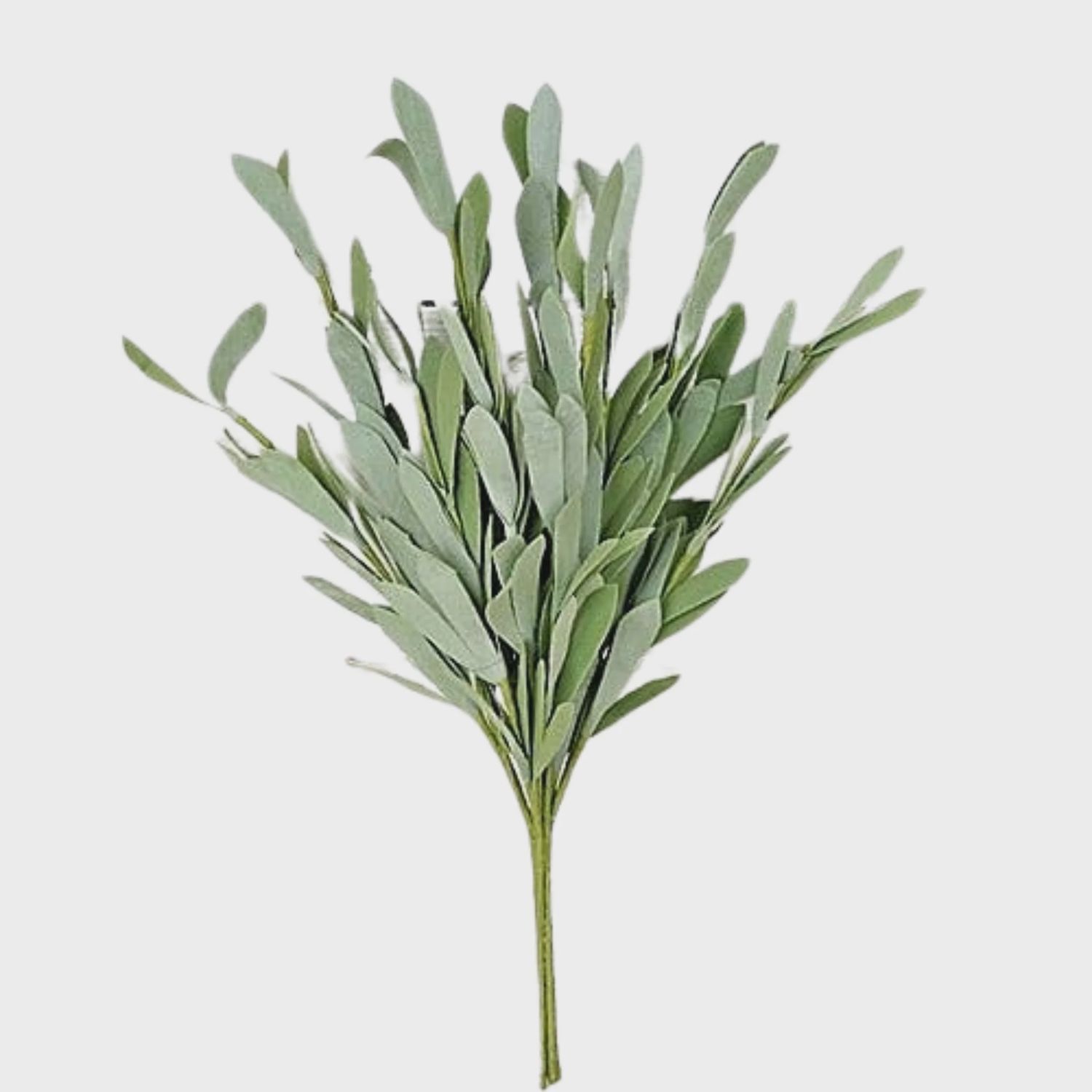 14" Foamy Willow Leaves Bush