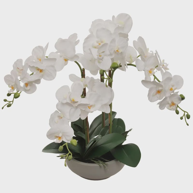 20" White Phalaenopsis Orchid Flowers in Round Grey Pot
