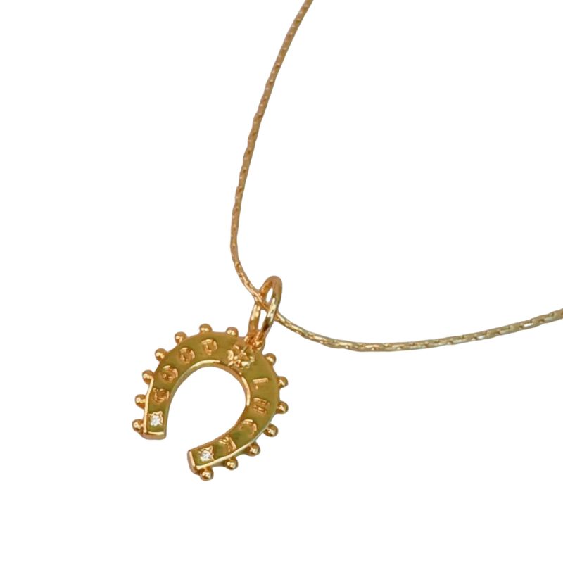 Lucky Lovely Horseshoe Necklace