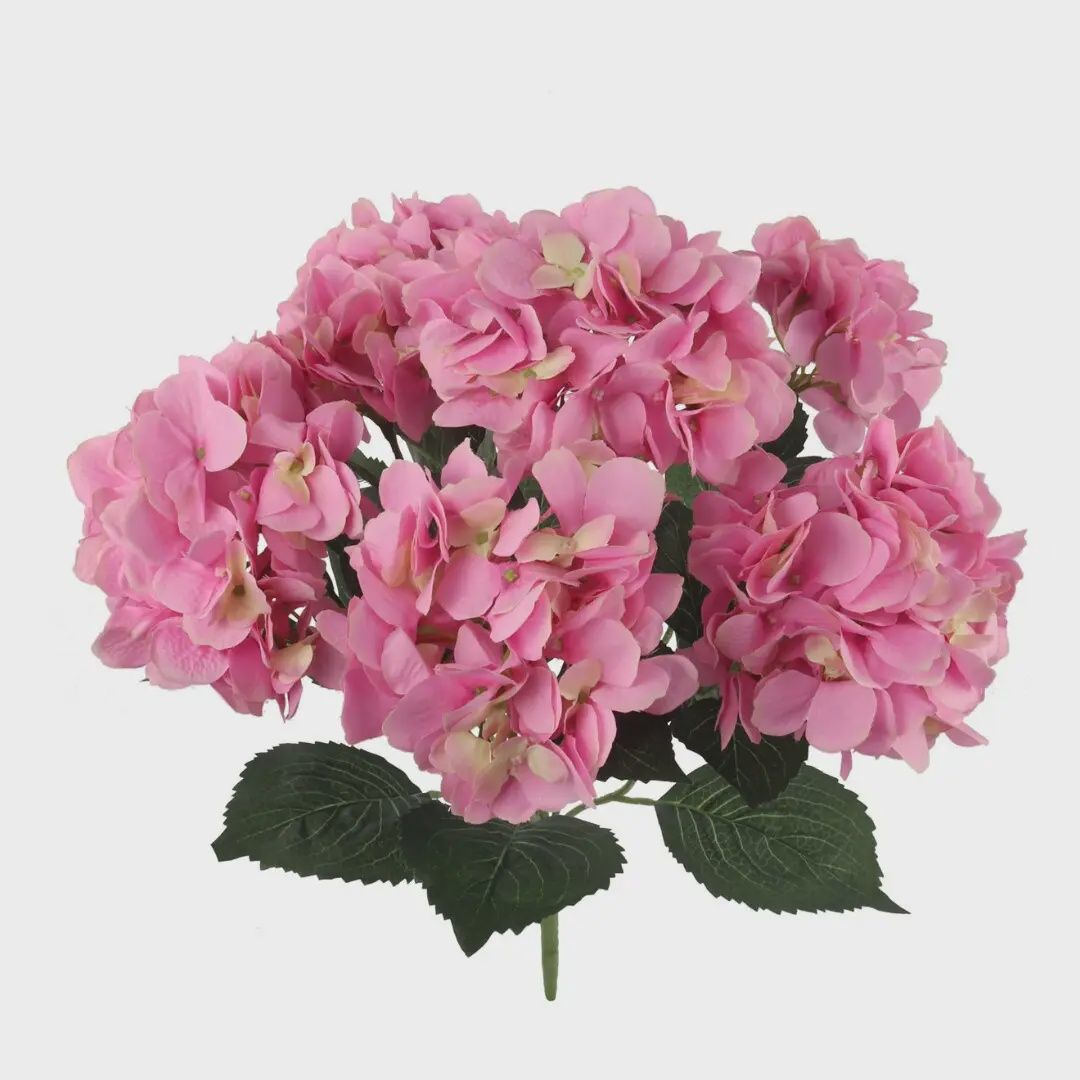 Pink Hydrangea Bush