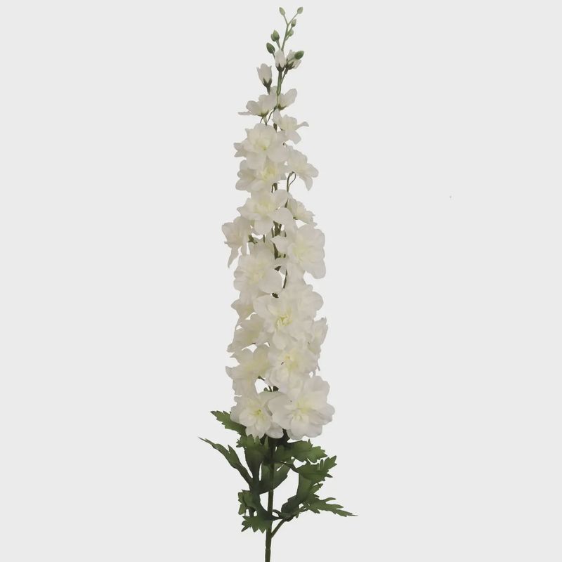 White Delphinium-37"