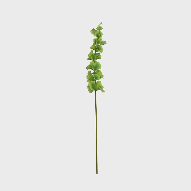 Bells of Ireland Stem - 29 Inch