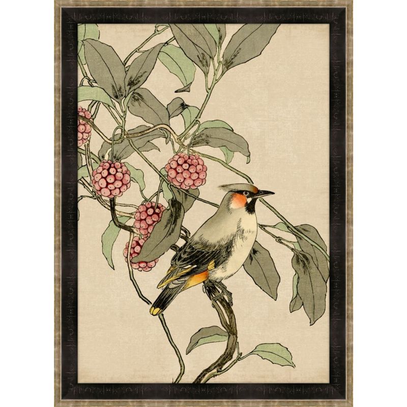 Asian Aviary III
