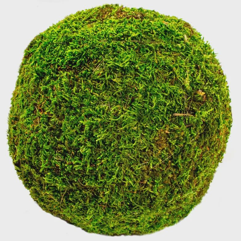 Preserved Moss Balls – 8" Decorative Spheres