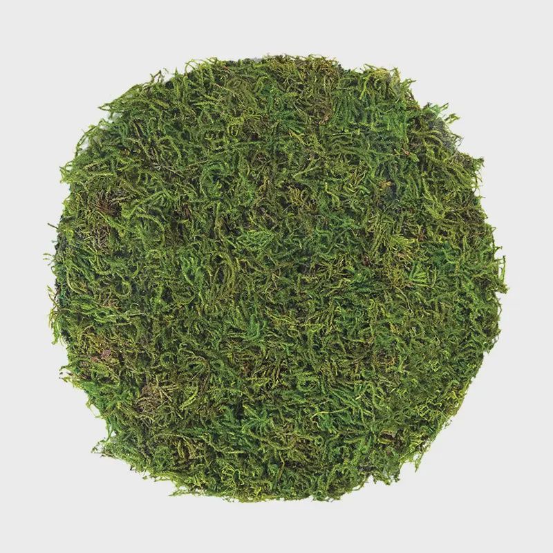 Mossy Table Setting – 12" Forest Moss