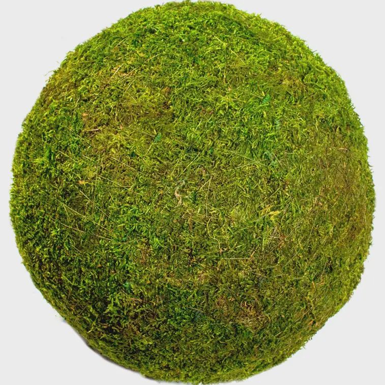 Moss Balls 12in