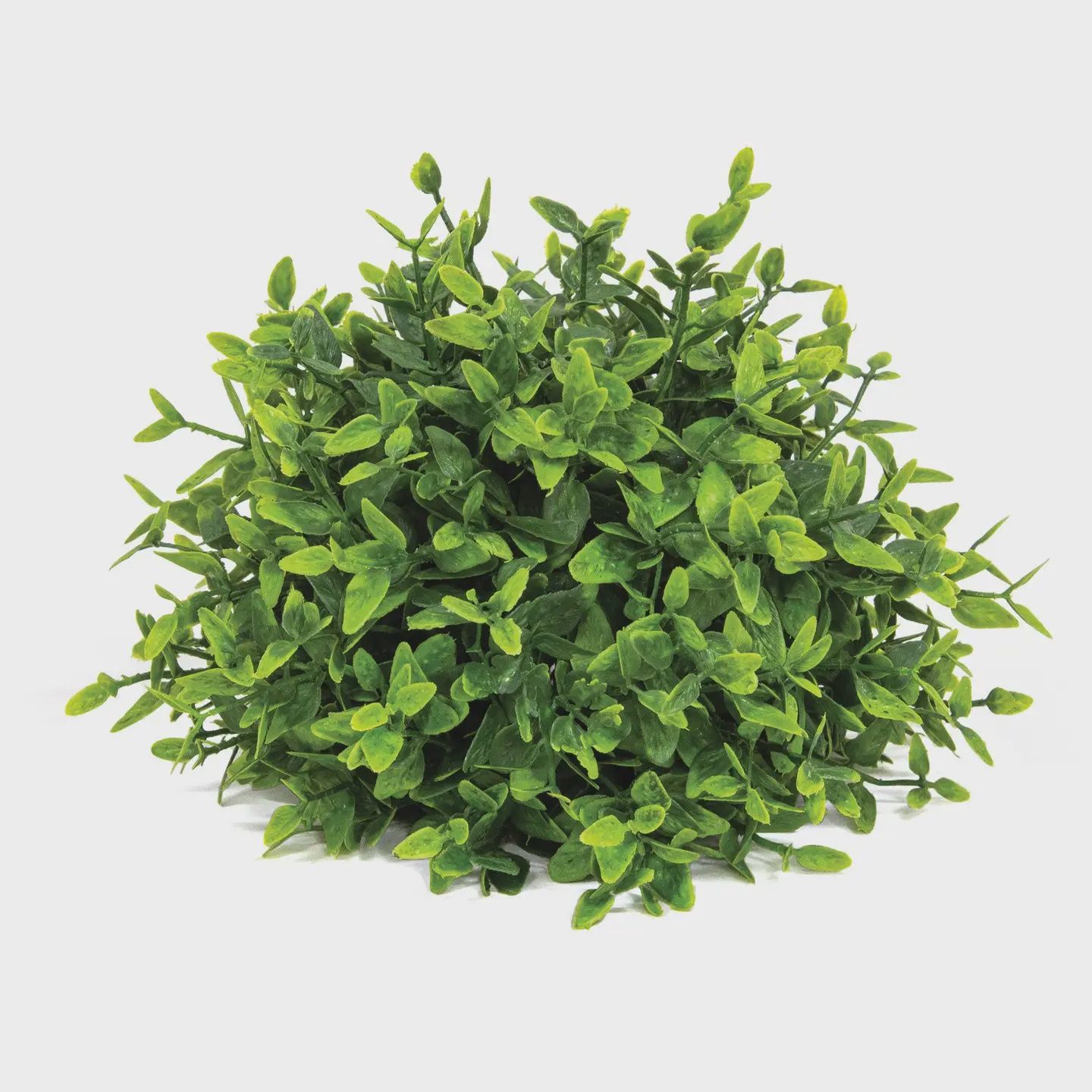 Lush Green Lemon Beauty Half Sphere – 6.5"
