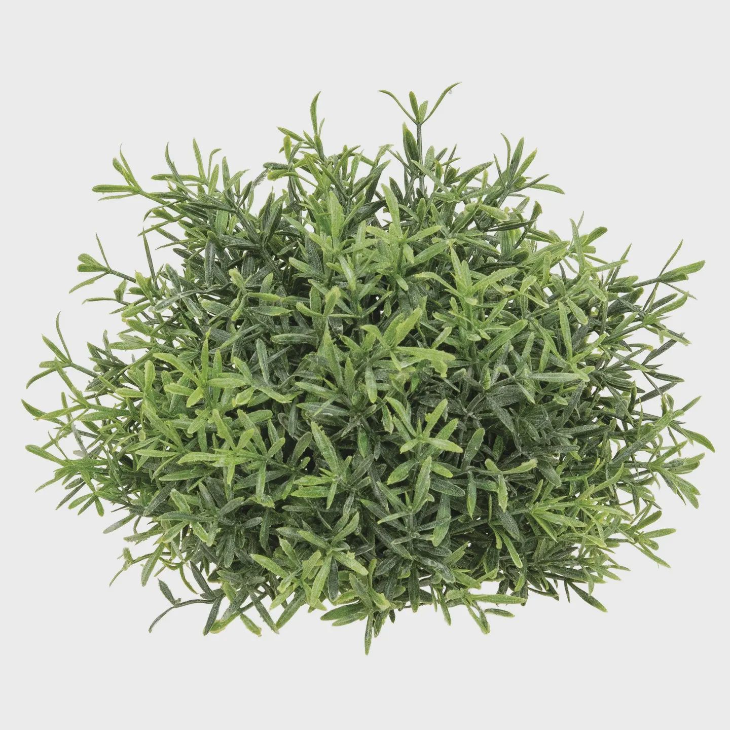 Dusty Rosemary Half Sphere – 6.5"