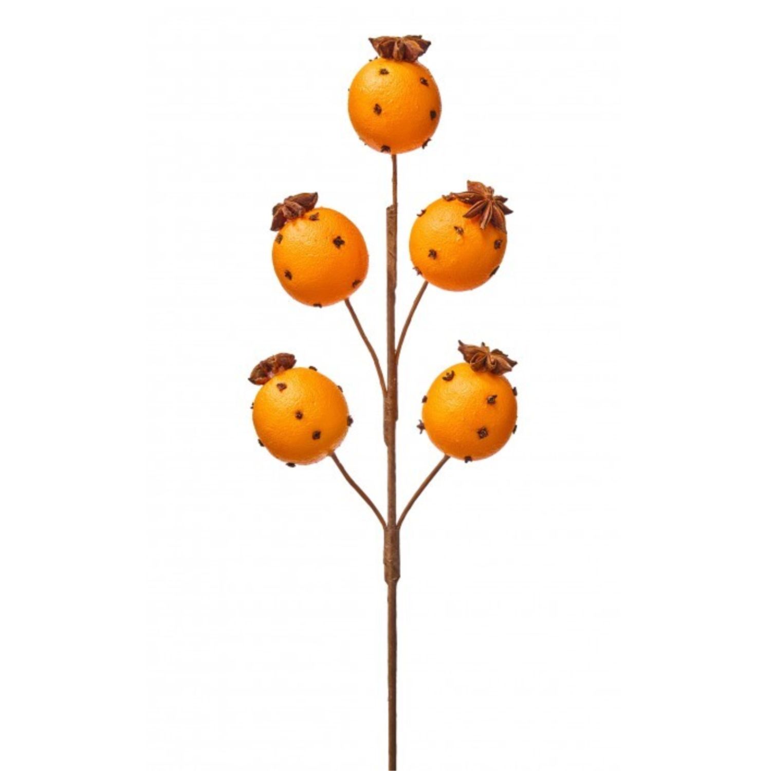 19.5" Orange with Clove Spray