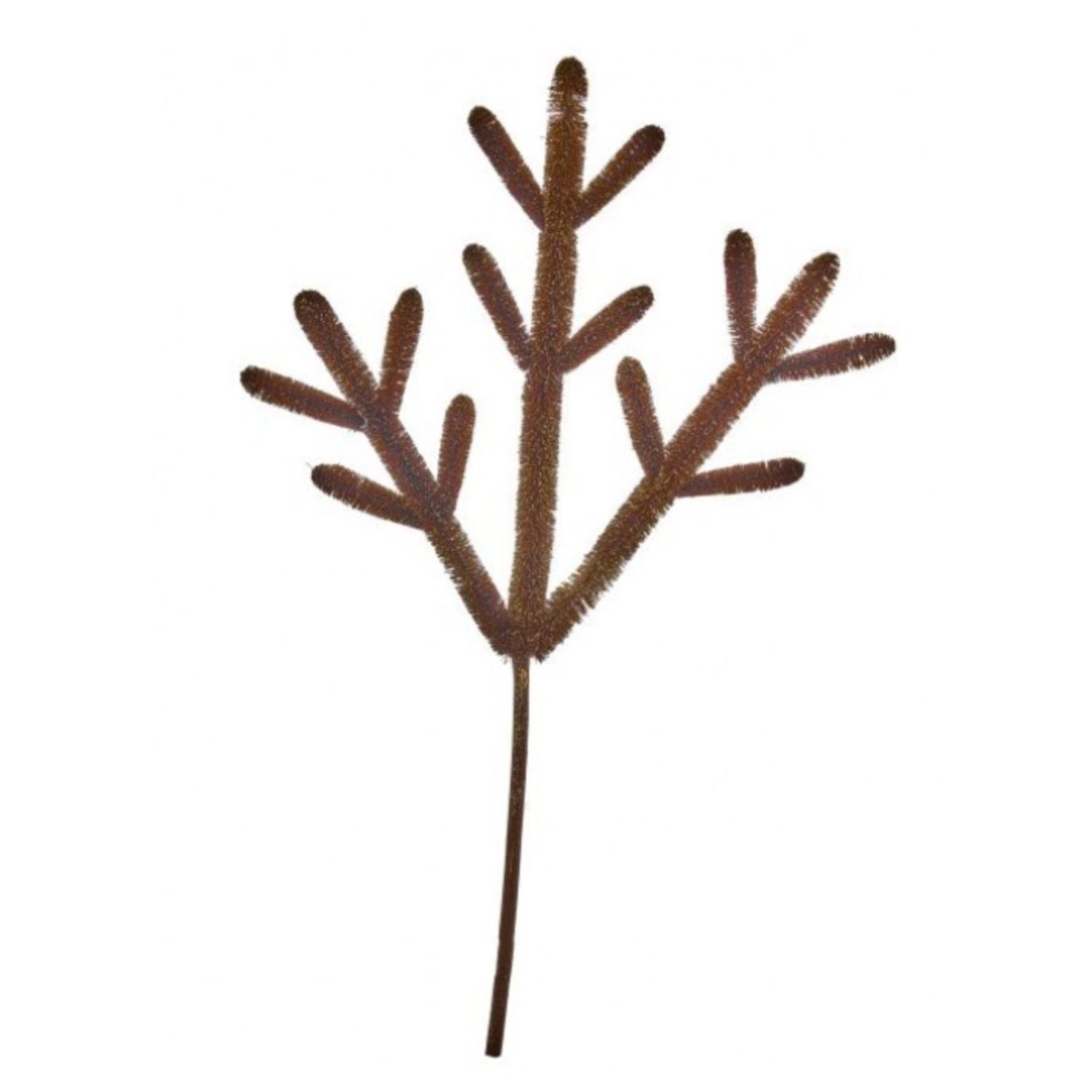 24" Fiber Antler Spray