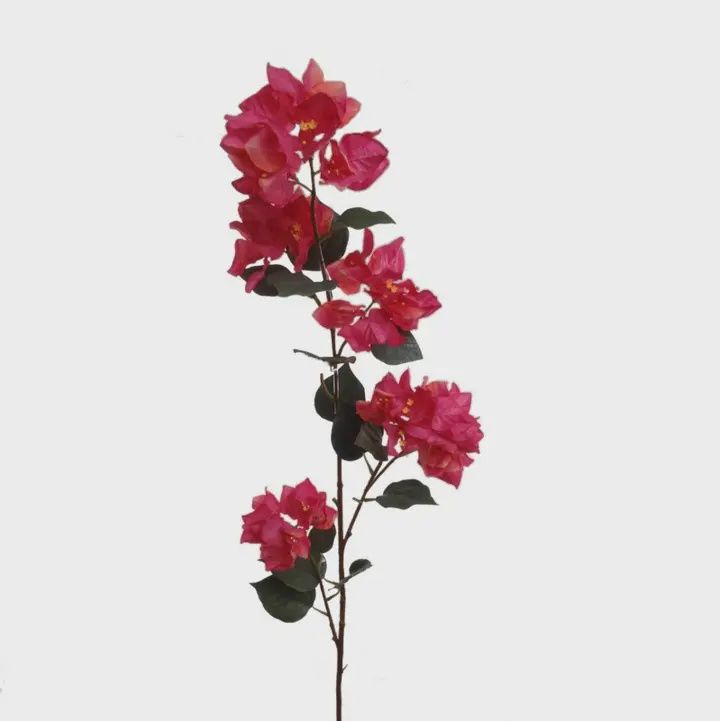 48" Fuchsia Bougainvillea Spray