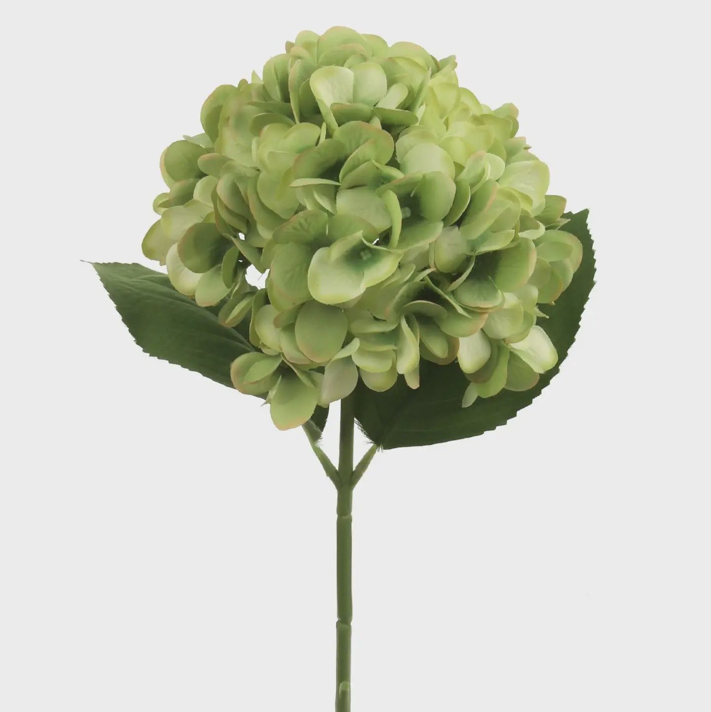 18" Green Hydrangea Stem