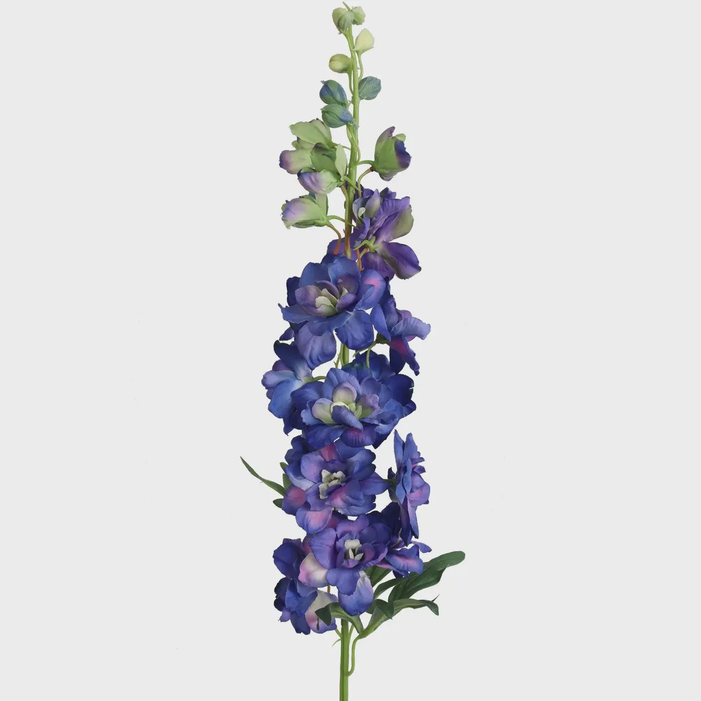 36" Dark Blue Delphinium Stem