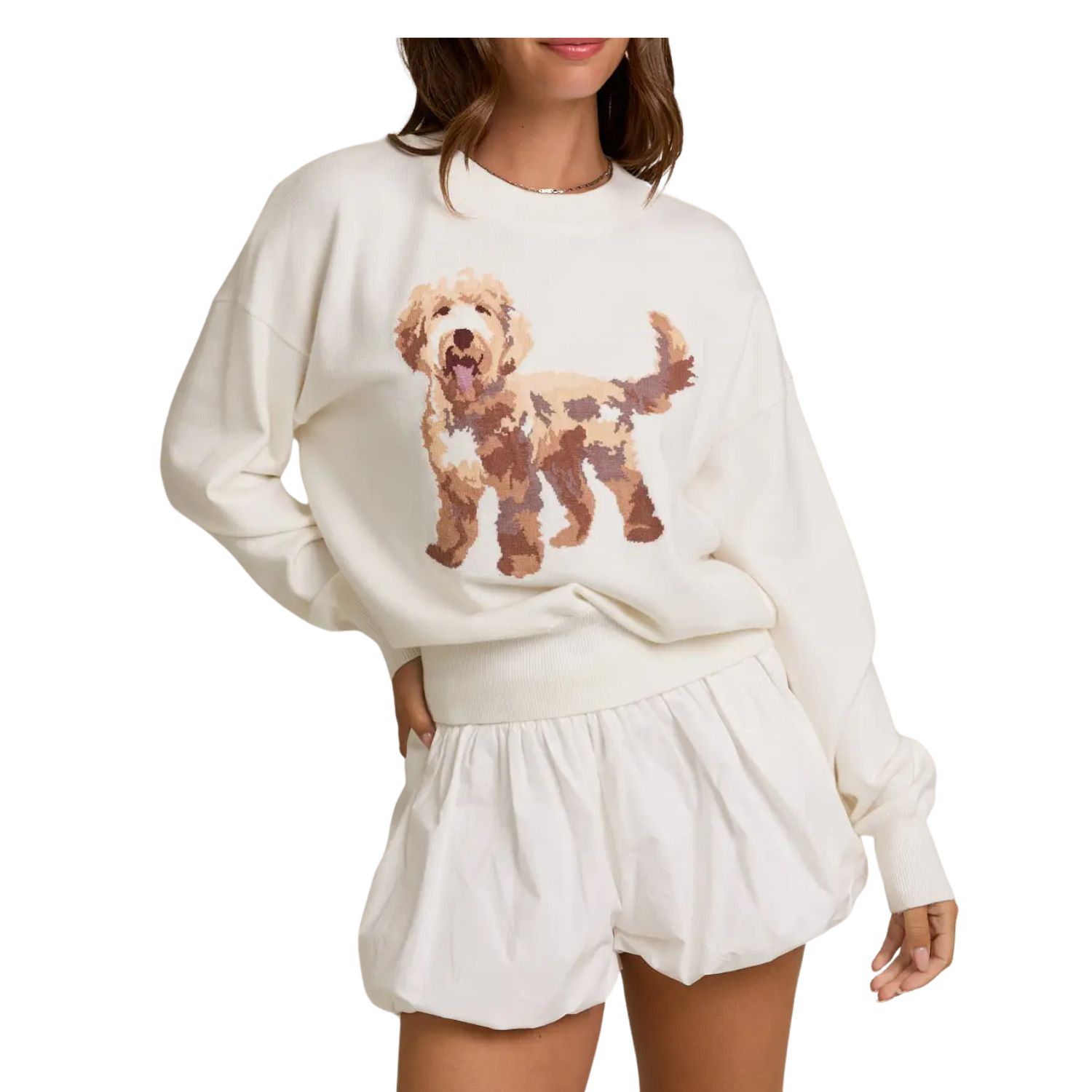 Long Sleeve Crew Neck Puppy Graphic Sweater
