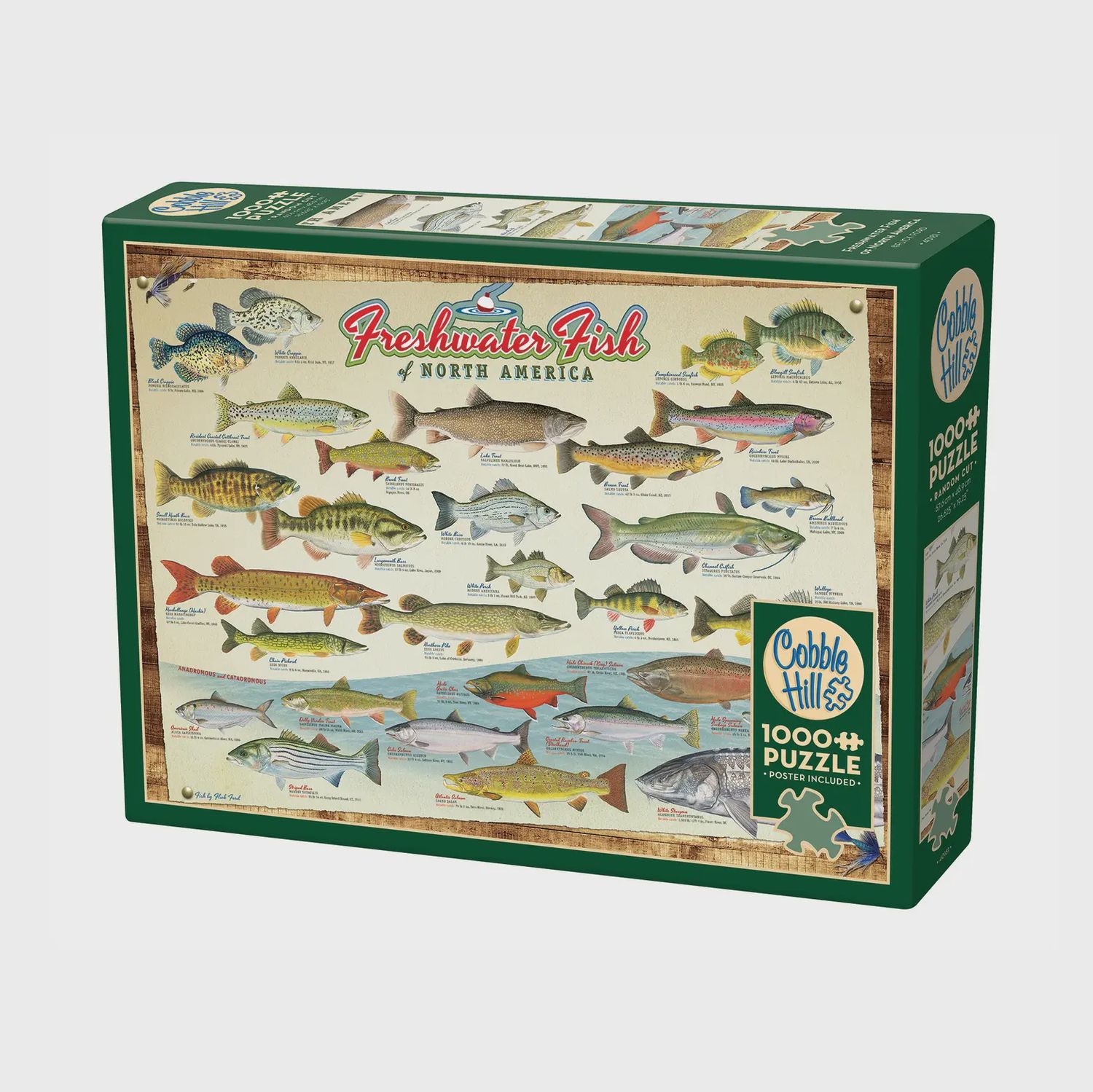 Freshwater Fish of North America 1000-Piece Puzzle