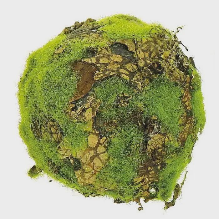 Medium Lichen &amp; Moss Decorative Orb
