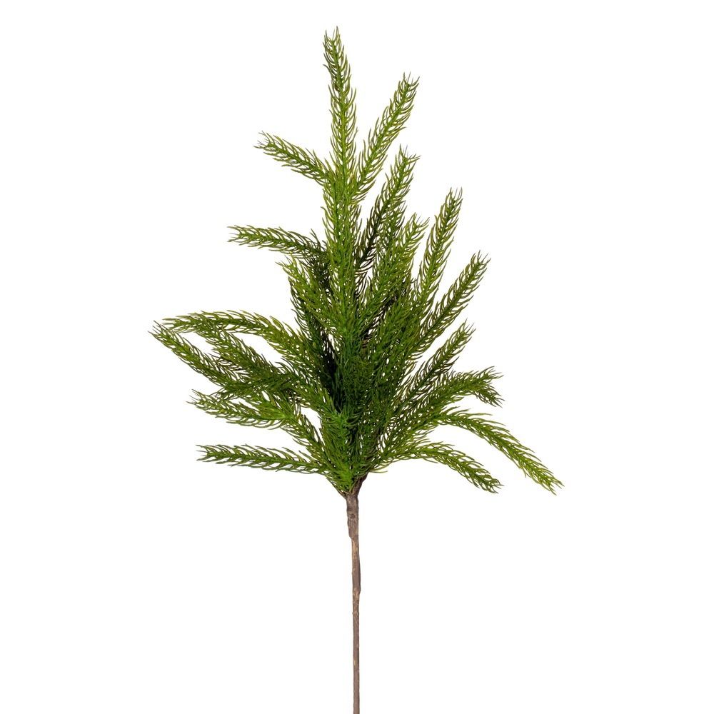 24" Green Norfolk Pine Spray
