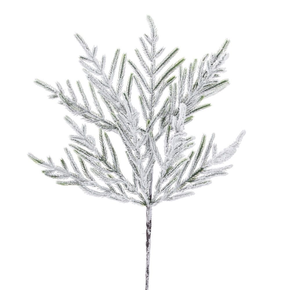 24" Frosted Norfolk Pine Spray