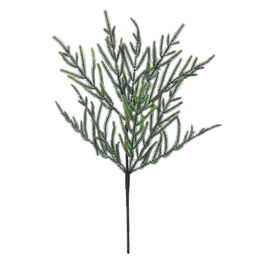 24" Norfolk Pine Spray