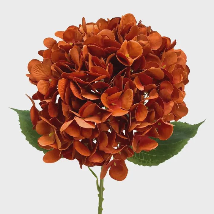 Full Bloom Hydrangea Stem – 27" | Burnt Orange