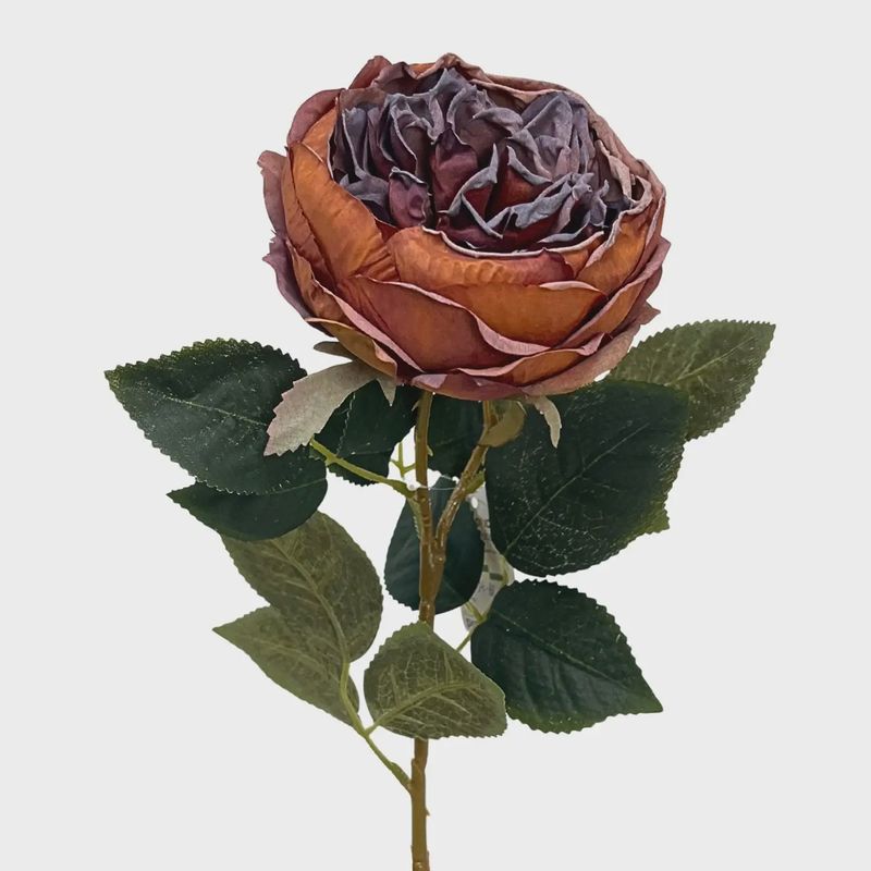 Faux Dried English Rose Stem – 24" | Copper &amp; Plum