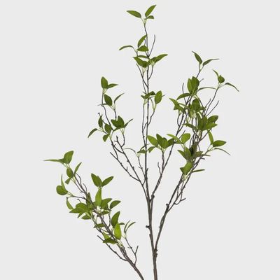 Wild Myrtle Branch – 46" | Green
