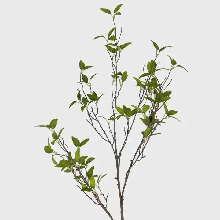 Wild Myrtle Branch – 46" | Green