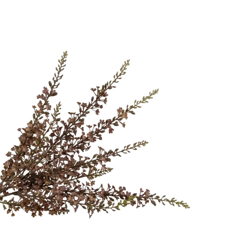 18.5" Brown Larkspur Bundle