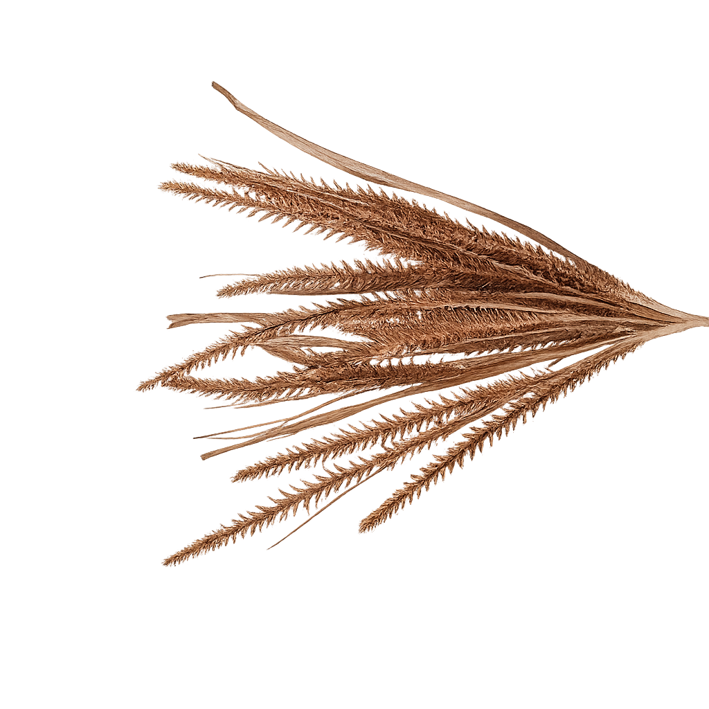 19.5" Chestnut Grass Spray