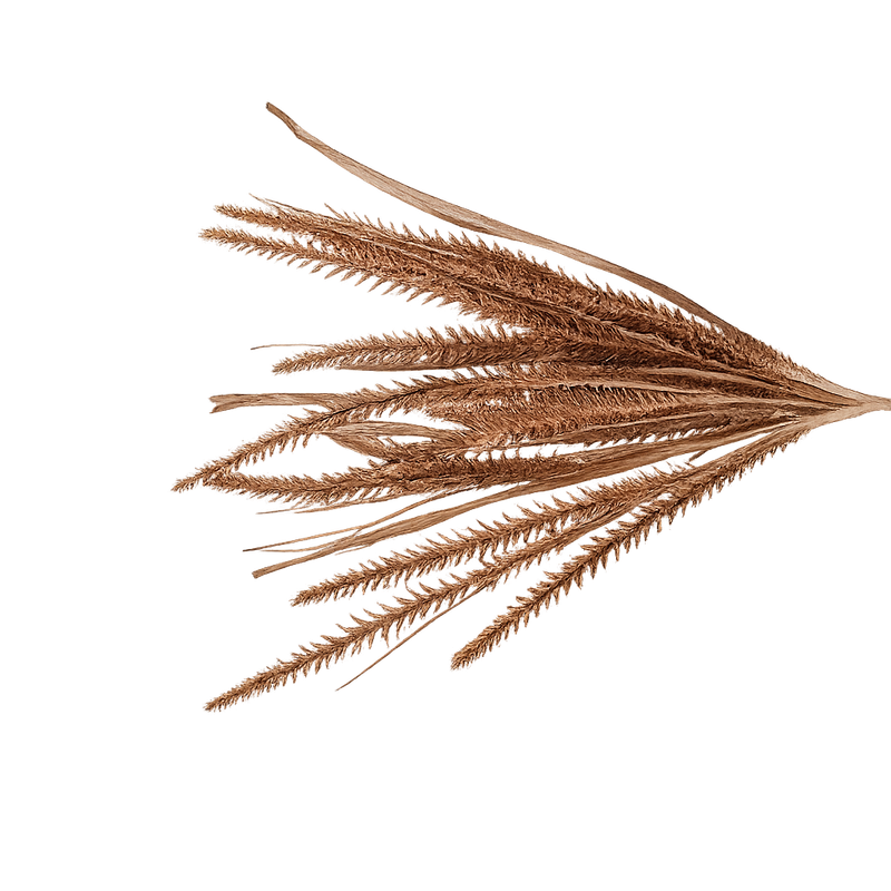 19.5" Chestnut Grass Spray