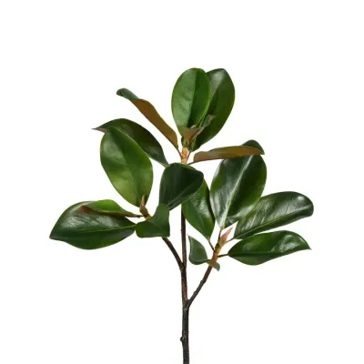 24" Magnolia Leaf Branch