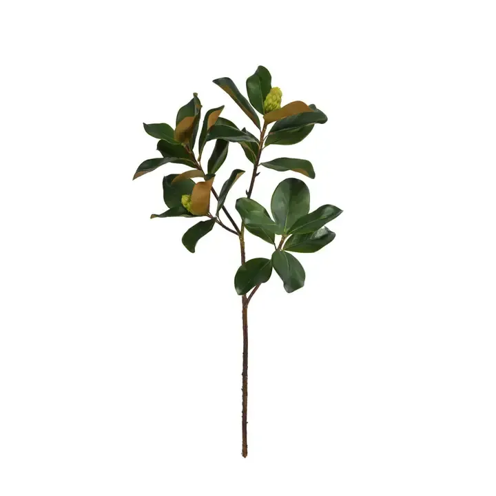 44" Magnolia Leaf Branch
