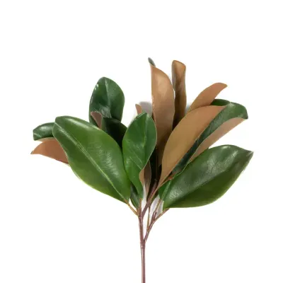 16" Magnolia Leaf Spray