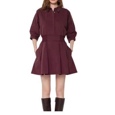 Flared Shirt Mini Dress