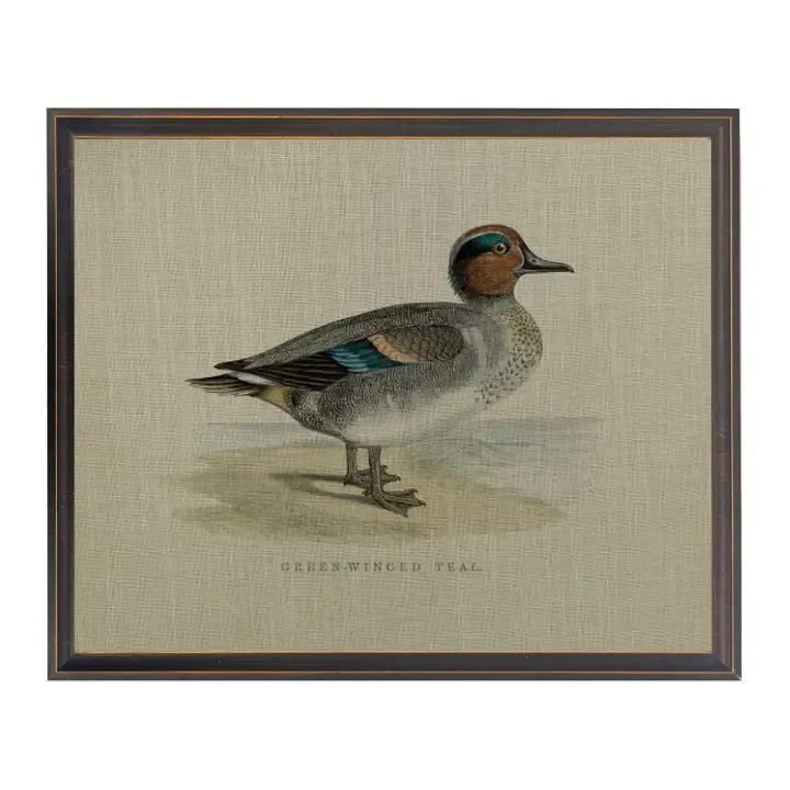 10" x 8" Green-Winged Teal Duck Painting on Linen