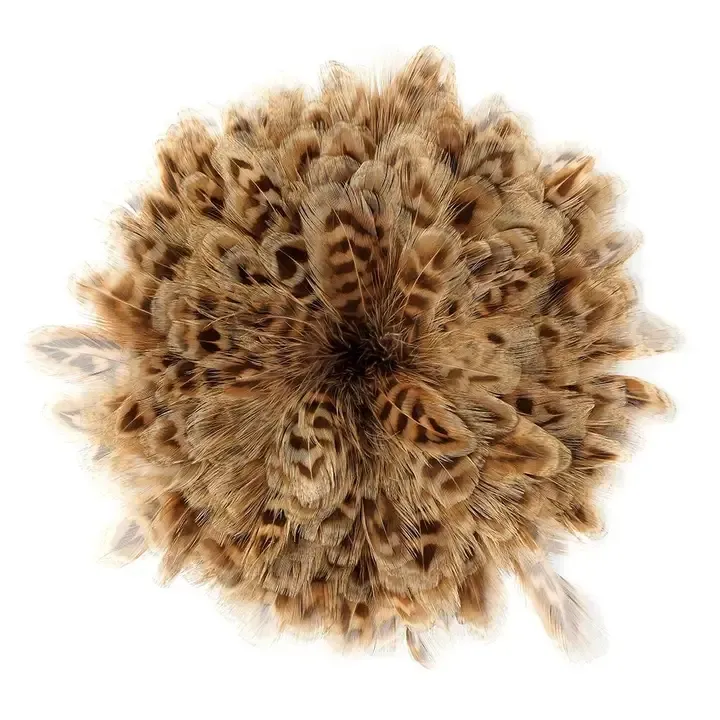 Natural Ringneck Pheasant Plumage