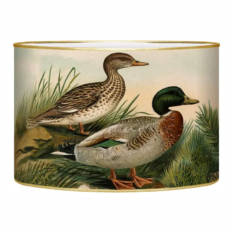 Ducks Letter Box Desk Organizer