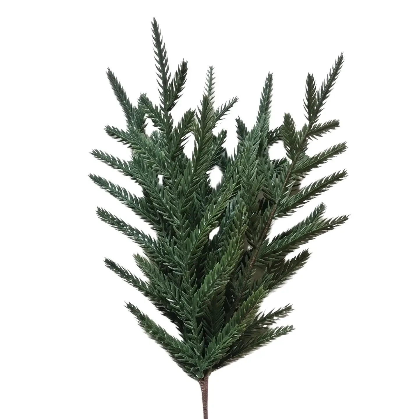 Fresh Touch Norfolk Pine Pick - 14"