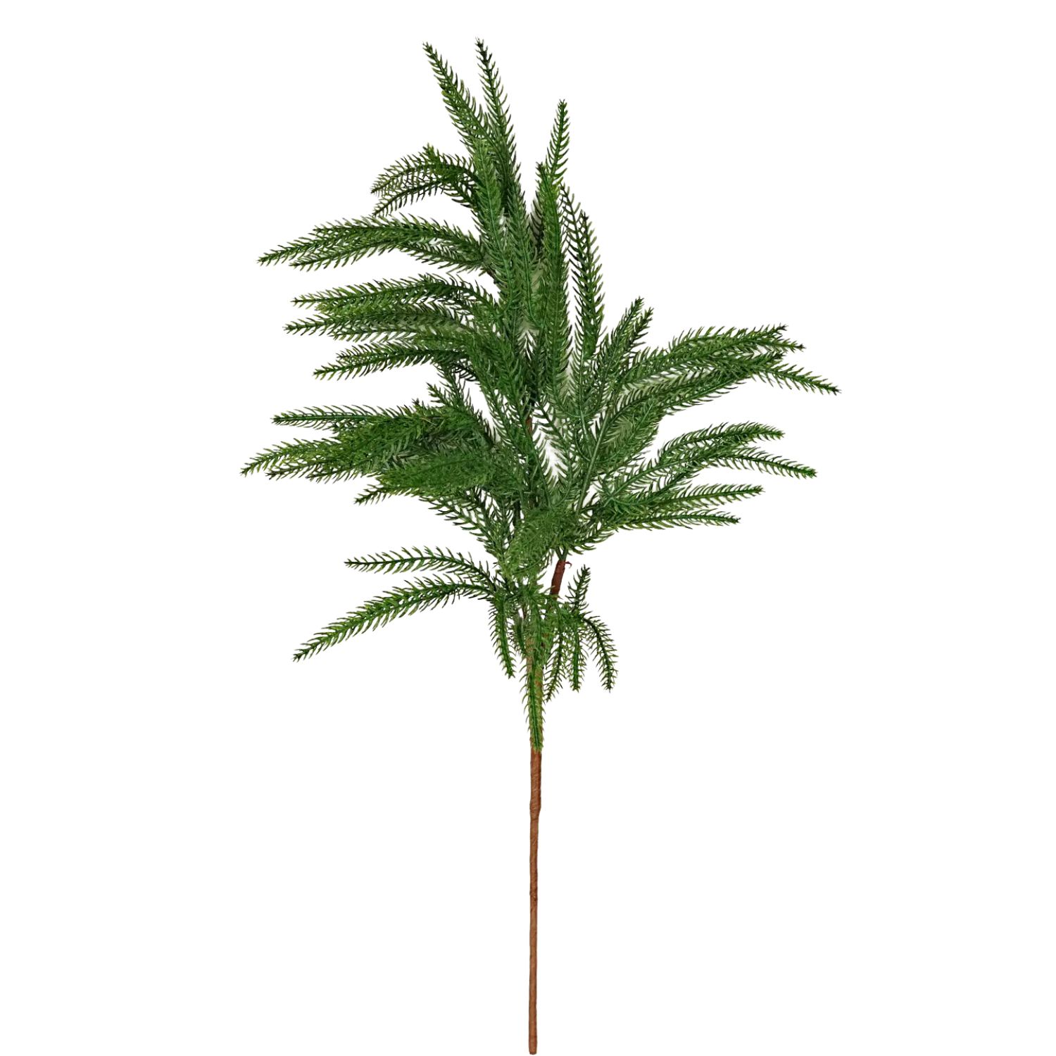 Soft Touch Fresh Green Norfolk Pine Spray - 25"