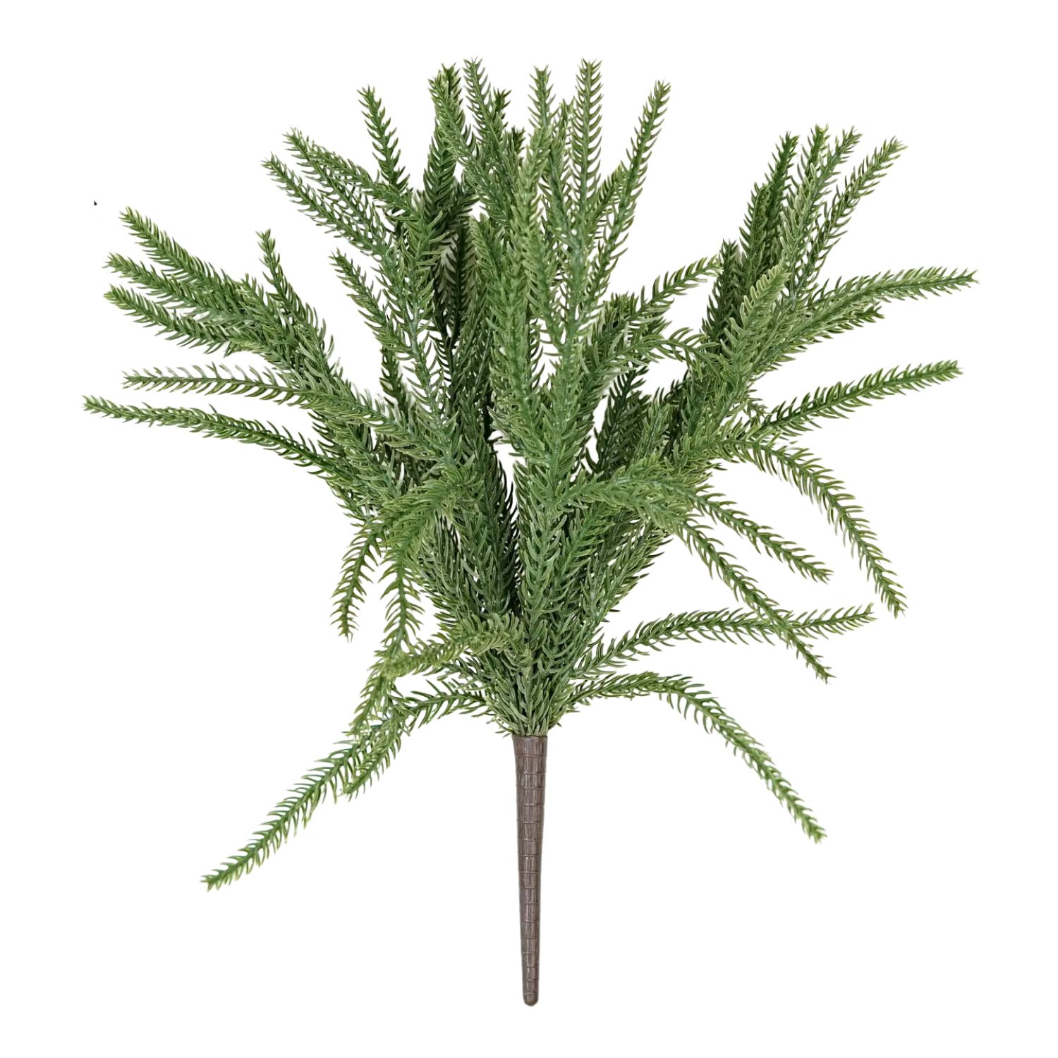 Soft Touch Norfolk Pine Bush - 15"
