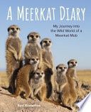 A Meerkat Diary: My Journey Into the Wild World of a Meerkat Mob