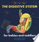 The Digestive System for Babies and Toddlers