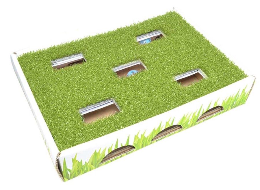 Cat Toy Hunting Box