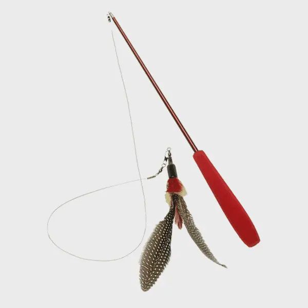 Fishing Pole Cat Toy