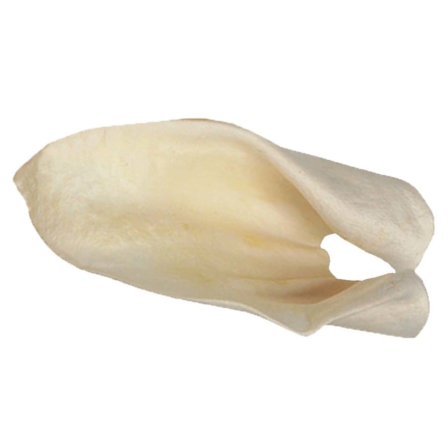 Cow Ear