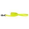 Carnival 6 ft Leash