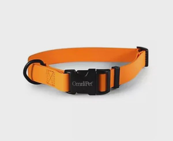Carnival Adjustable Collar