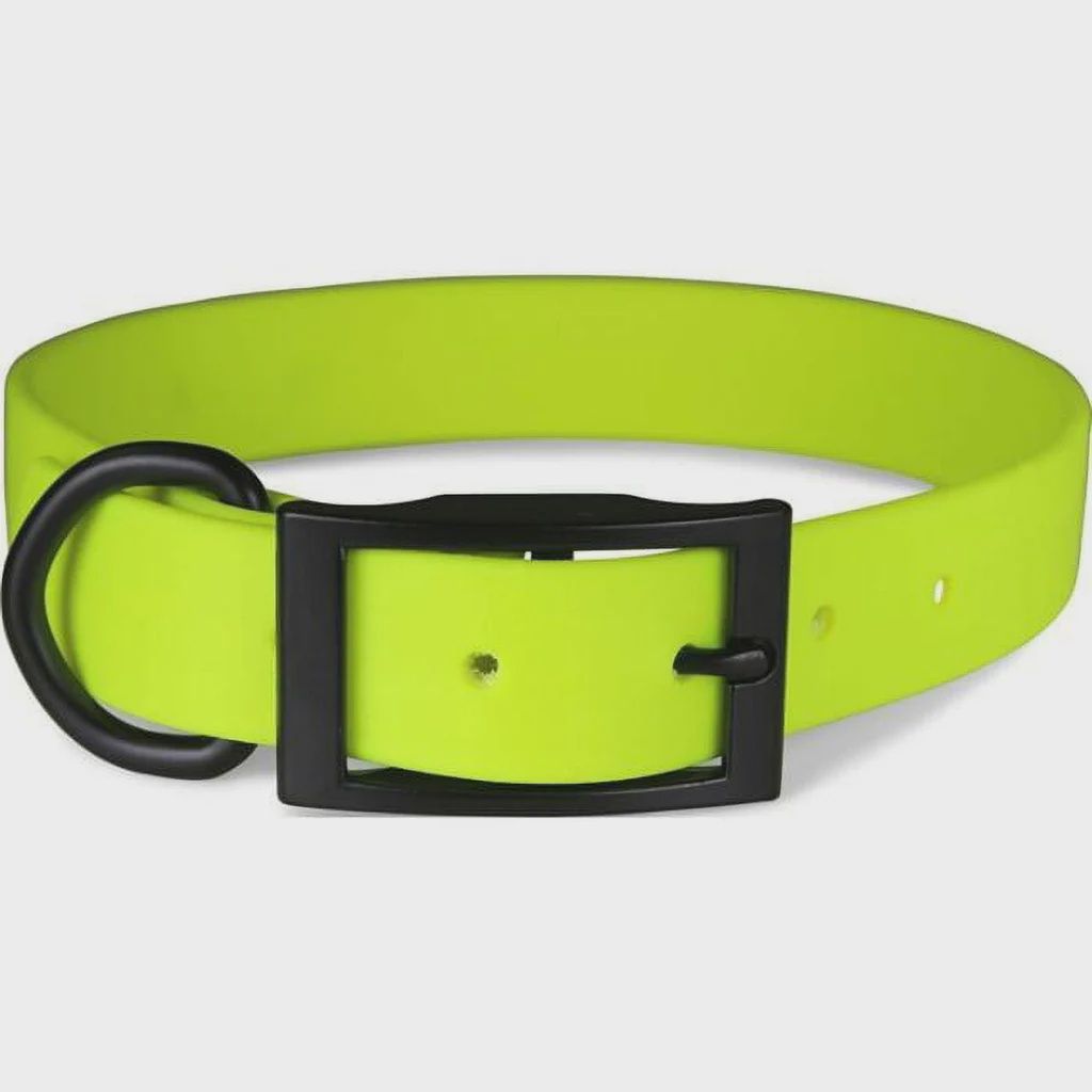 Zeta Dog Collar