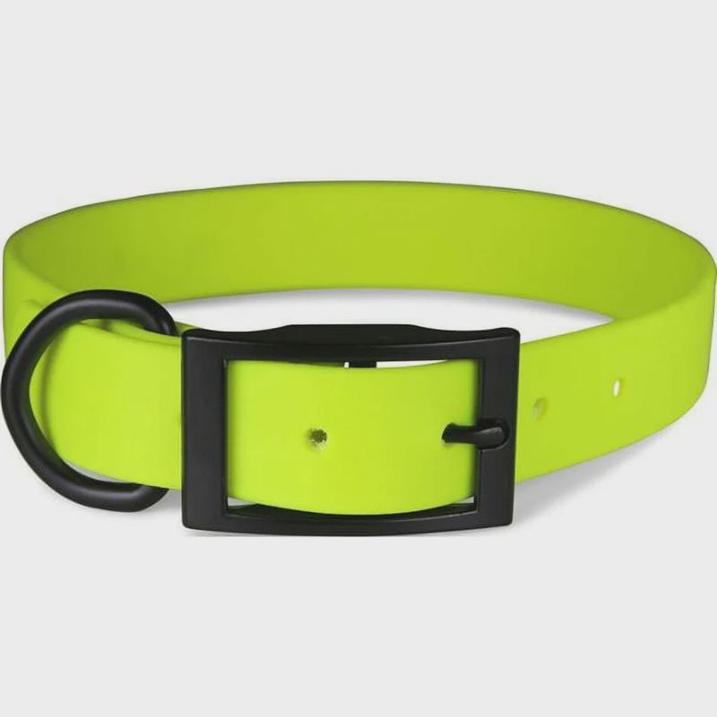 Zeta Dog Collar