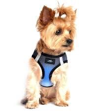 American River Choke Free Harness